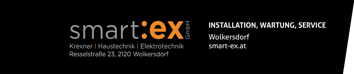 logo footer